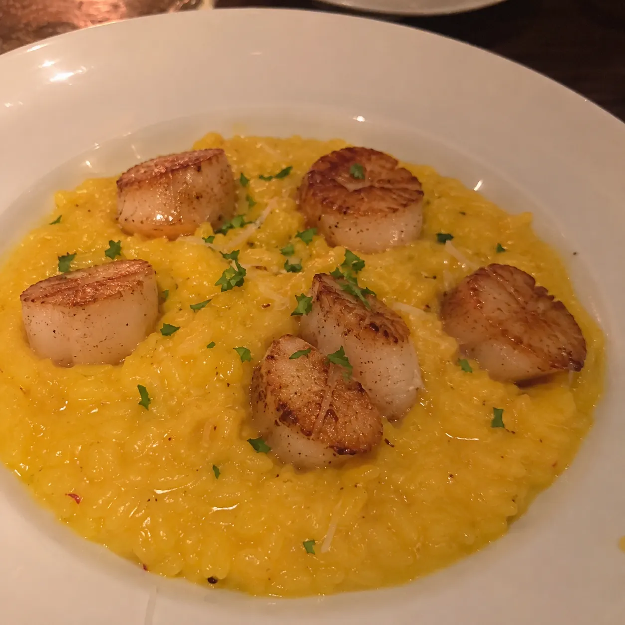 Original saffron risotto with pan-seared scallops photo